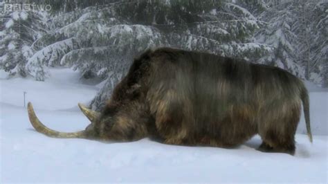 The End Of The Woolly Rhino Ice Age Giants Episode 3 Preview Bbc