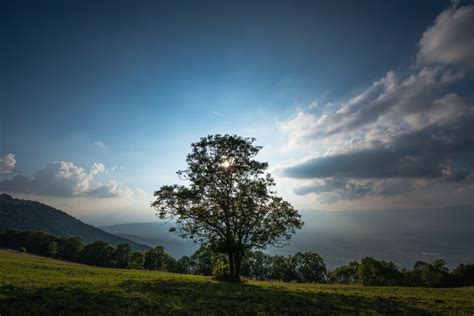 Fotos Gratis Paisaje Rbol Naturaleza Bosque C Sped Horizonte