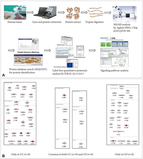 A Schematic Representation Of Label Free Quantification B Proteome