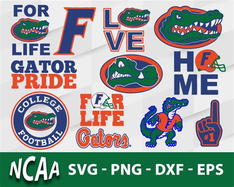 Florida Gators Svg Bundle Florida Gators Svg Sport Svg Ncaa Svg Pn