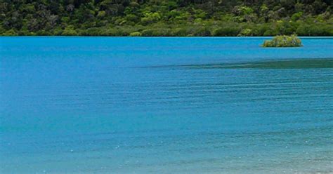 Beach 4 Berth Motorhome Maui Motorhomes Nz
