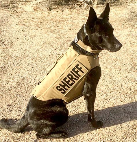 Mcso K9 Arkham To Get Donation Of Body Armor Sonoran News