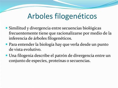 Filogenetica Ppt Descargar