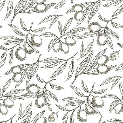 Seamless Hand Drawn Pattern With Olive Tree Branches Background