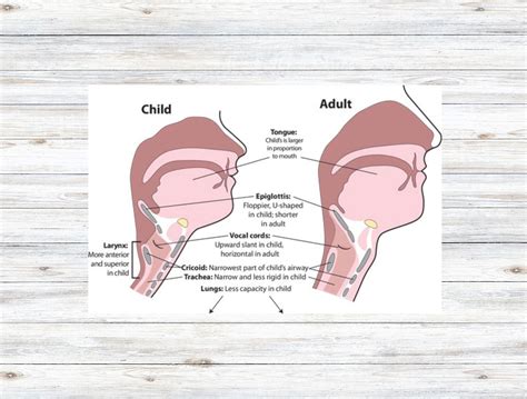 Common Child Choking Hazards, Infant & Child Choking First Aid, Child ...