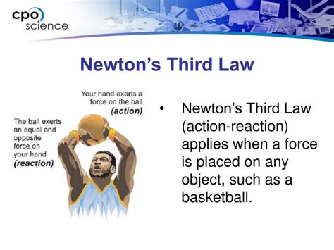 Ppt Newtons Third Law Powerpoint Presentation Free Download Id6839681