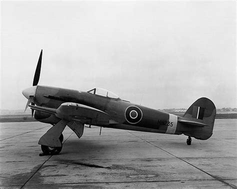 Hawker Typhoon British Wwii Aircraft Photo Print For Sale