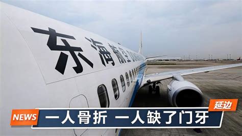 东海航空机长和乘务长互殴1人断手1人掉牙民航局通报5大处罚 军事 航空航天 好看视频