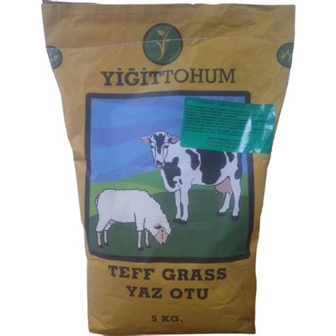 DÖRTBUDAK Teff Grass Yaz Otu Tohumu 5 kg Fiyatı