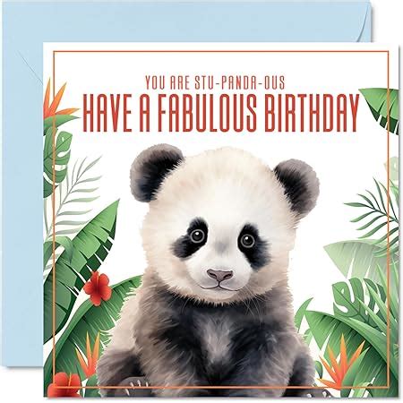 Amazon Panda Birthday Cards For Men Women Stu Panda Ous