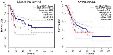 Prognostic Value Of CCAT1 In Patients With Gastric Cancer A Long