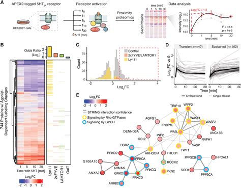 A Proximity Proteomics Pipeline With Improved Reproducibility And