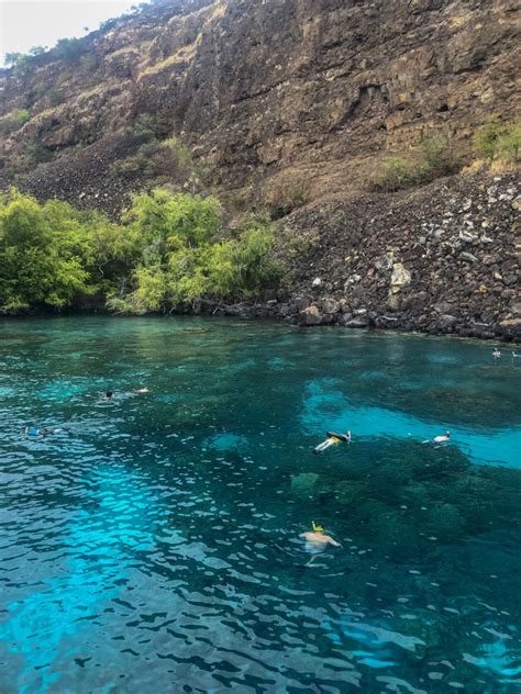 Kona Snorkeling Cruise with Fair Wind Cruises - Madison Fichtl