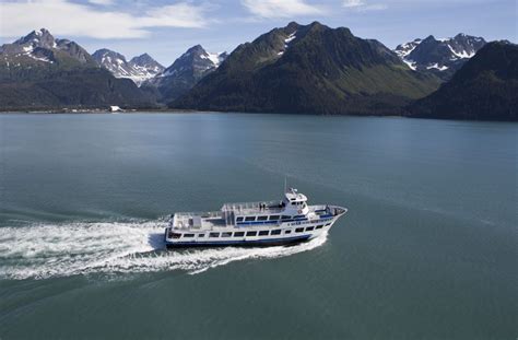 5 Hour Kenai Fjords Wildlife Cruise | Kenai fjords national park, Kenai ...