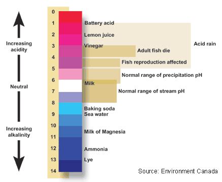 Alkaline Water Filter | Conscious Water