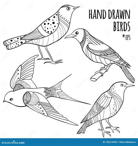 Vector Set Of Hand Drawn Birds Stock Vector Illustration Of Pretty