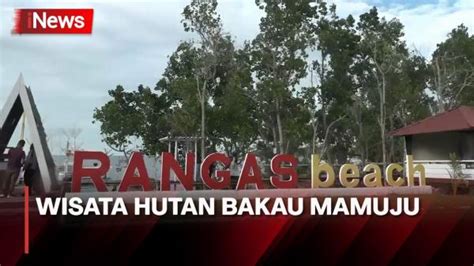 Menikmati Indahnya Wisata Hutan Bakau Rangas Beach Di Mamuju