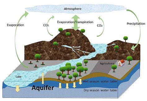 Soil Water Cycle