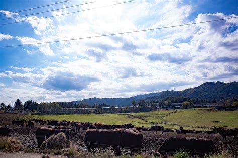 Fukushima Exclusion Zone Day Tour From Tokyo