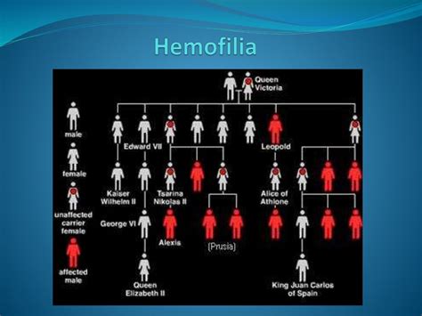 Tema 4 Patrones De Herencia