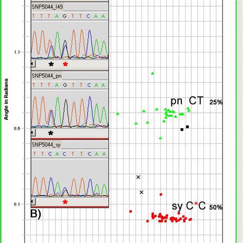 SNP5044 Polar Cluster Plot A Genotype Plot Created By GeneMapper