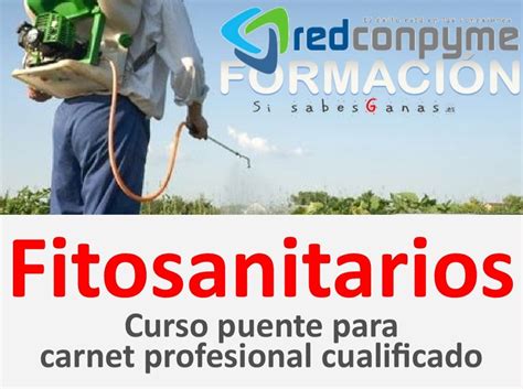 Curso Puente Fitosanitario Mallorca 2018 Para Carnet Cualificado Si Ya