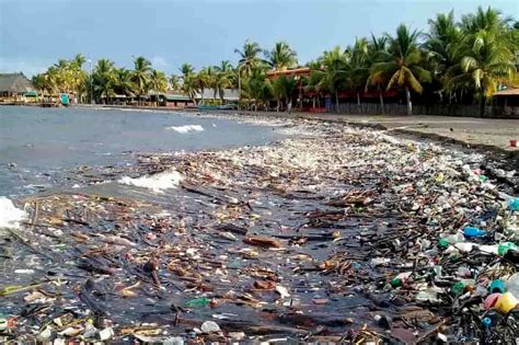 Basura En Las Playas De Andalucia Nehru Memorial