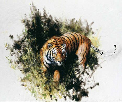 Limited Edition Prints Artwork Page Of David Shepherd Wildlife