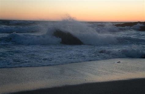 12 Best Bodega Bay Beaches, California - Sunlight Living