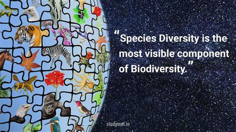 “species Diversity Is The Most Visible Component Of Biodiversity