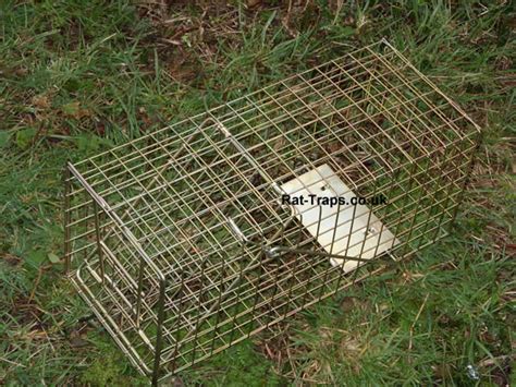 Live capture humane rat cage traps, Rat-Traps.co.uk, suppliers of live capture & humane rat traps.