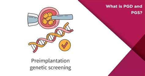 Pgd And Pgs Unraveling The Power Of Genetic Testing Nova Ivf Fertility