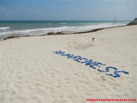 Coccozella Nude Beach Telegraph