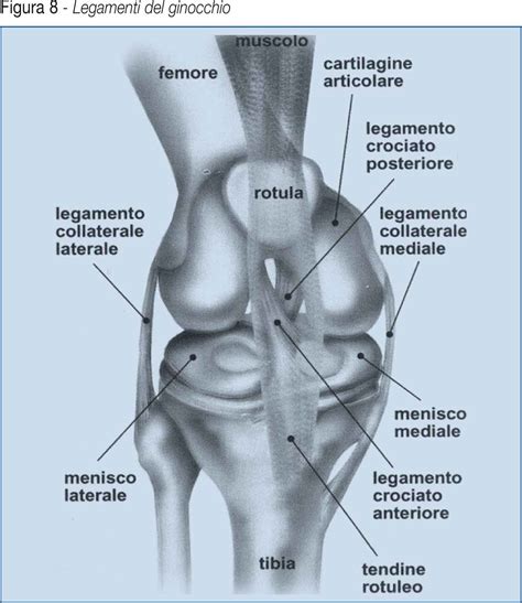 Il Medico Sportivo 2010