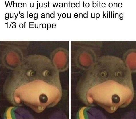 34 Weird Rat Memes That Only A Dirty Little Rodent Will Like