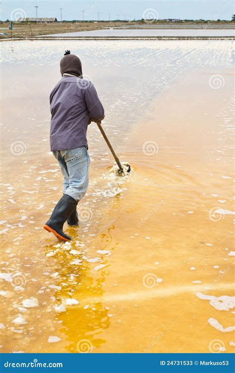 Harvesting salt stock image. Image of evaporating, people - 24731533