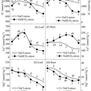 Effects Of Nacl And Nahco Stresses On The Net Photosynthetic Rate A