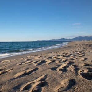 Tout Savoir Sur Les Plages De Canet En Roussillon