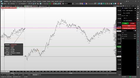 Leitura De PregÃo I Day Trade Análise Gráfica Fibonacci Mini