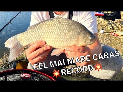 Cel Mai Mare CARAS Prins De Mine Pescuit La Caras Cu Nou RECORD La