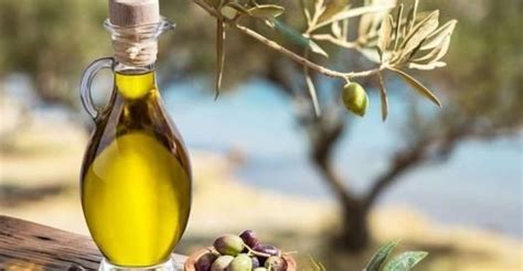 Olio Extravergine I Migliori Da Acquistare Al Supermercato Secondo