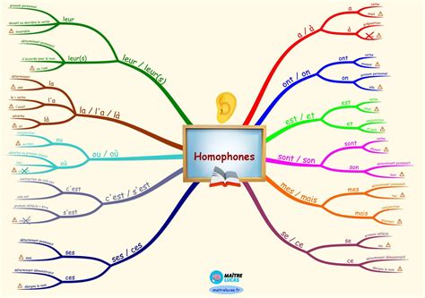 Carte mentale Homophones grammaticaux CM1 CM2 Maître Lucas