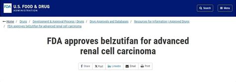 FDA批准Belzutifan治疗经PD 1 PD L1 VEGF TKI治疗后的晚期肾细胞癌医药新闻 ByDrug 一站式医药资源共享中心 医药魔方