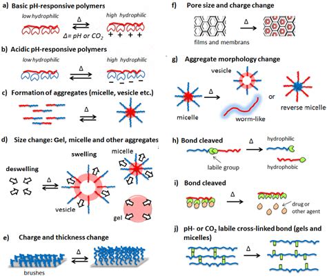 Behaviors Of Ph Responsive Andor Co 2 Responsive Polymers Download