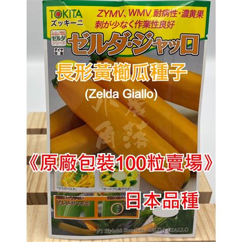 【現貨。不用再問】日本tokita 黃色 長形 櫛瓜種子 原廠包裝100粒 夏南瓜種子 F1種子 一代雜交 蝦皮購物