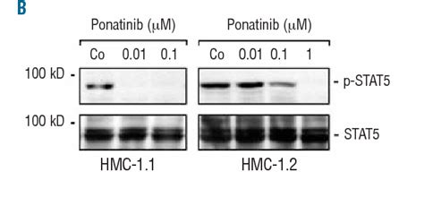 Table From Synergistic Growth Inhibitory Effects Of Ponatinib And