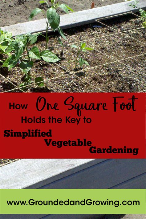 How One Square Foot Holds The Key To Simplified Vegetable Gardening