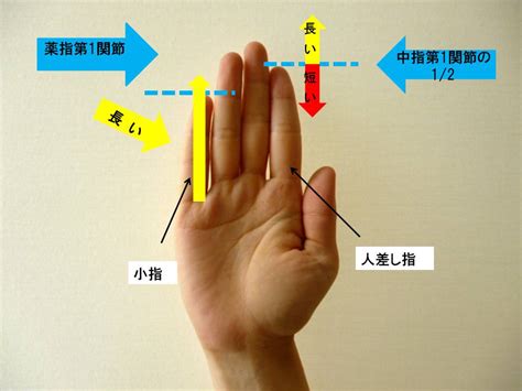 指の長さでわかる「人間関係占い」 小指と人差し指を見ればタイプが判明！ Yubiuranai1