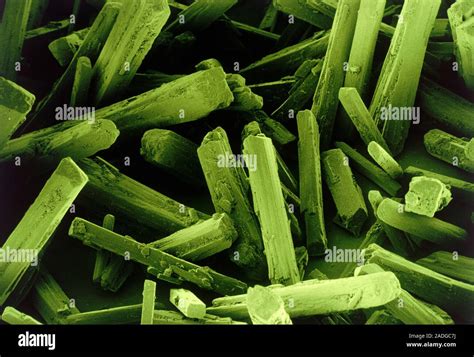 False Colour Scanning Electron Micrograph Sem Of Crystals Of