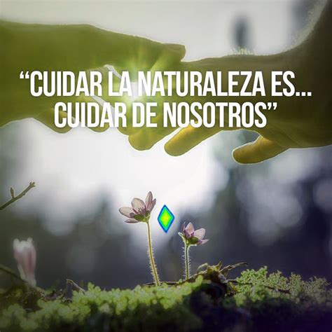 Recolectar Imagen Frases Para Cuidar El Medio Ambiente Cortas The